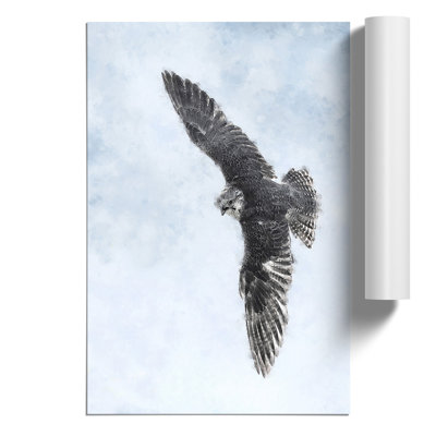 Bird Of Prey - No Frame Painting