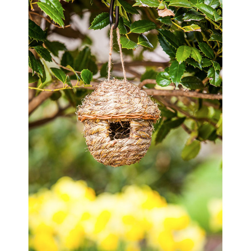 Maison d'oiseaux Hocking 6 po x 5,5 po x 5,5 po