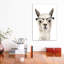 Hip Llama IV par Victoria Borges - impression d'art graphique-53043786-53043780-53043779
