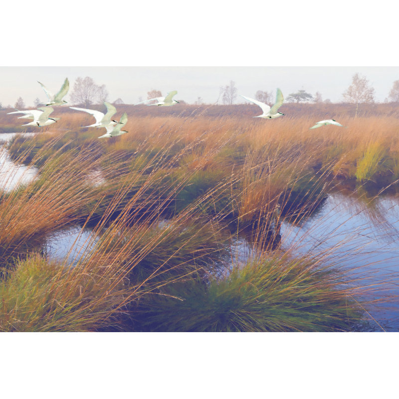 Marshland Hues II by Steve Hunziker - Wrapped Canvas Print, 51cm H x 76cm W