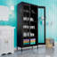 Armoire de rangement simple en acier Demitrios (H 72,83 po x l 31,5 po x P 15,75 po)-88684493