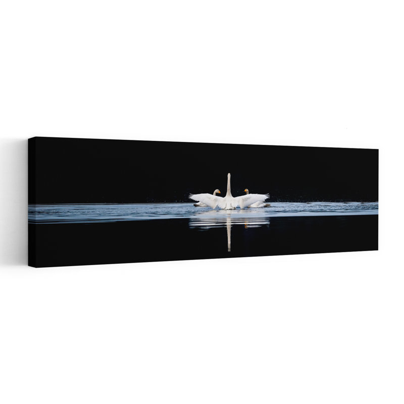 «Graceful Swan Reflection», H 16 po x l 48 po