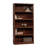 Alexsia Standard Bookcase-1407047388-1436292308
