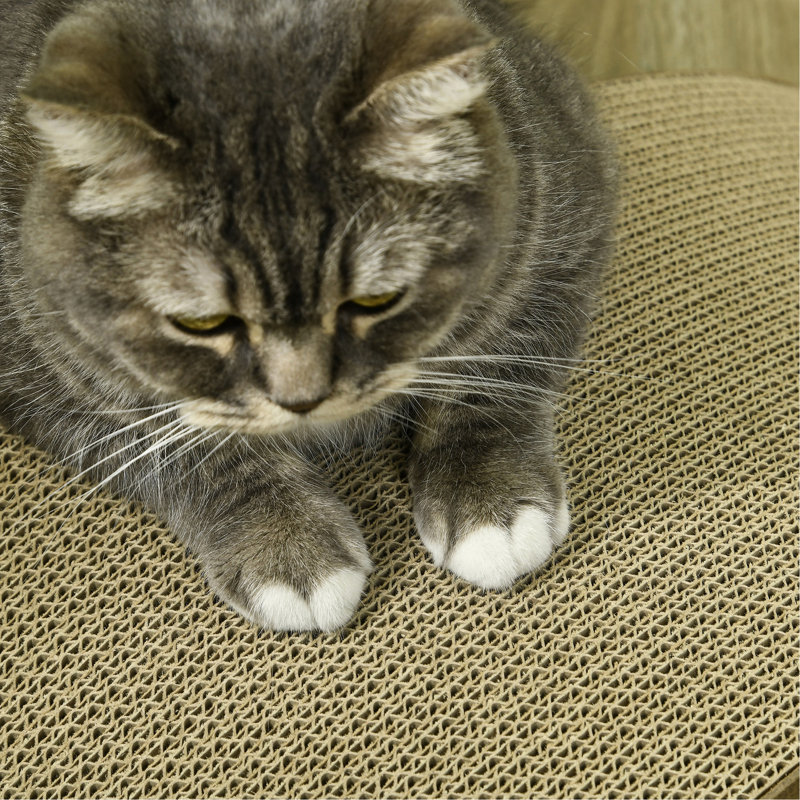 Grattoir pour chat brun, 4, pour chats d'intérieur bien élevés, poteau réversible, paquet de 4 meubles froids, brunâtre, dommages