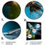 Décoration murale sarcelle libellule insectes - animaux libellule en métal-351345675