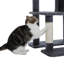 Tour à chat 60,62 pouces à plusieurs niveaux pour chats d'intérieur avec poteau à griffes recouvert de sisal, condo pour chat confortable, perchoir supérieur rembourré pour chats d'intérieur-677276918