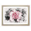 Pink Carnation Flower - Framed Print-56851834-56851835