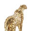 Sculpture en résine Wardel-1776789361