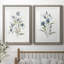 Linen Botanical III - ensemble de 2 reproductions d'art-1344163470-1408367724-1416053942