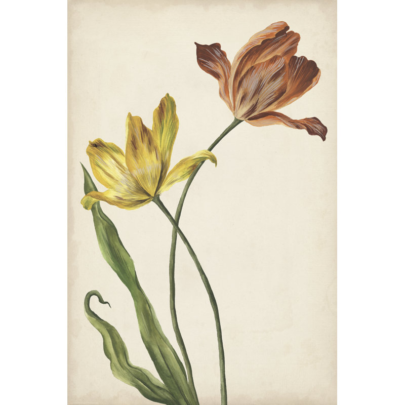Two Tulips I - Painting, 46 cm H x 30 cm W, Black Floater Framed