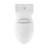 Plaisir One-Piece Elongated Toilet Dual-Flush 1.1/1.6 gpf