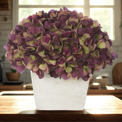 Arrangement d'hortensias en prune