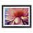 Black Framed selected