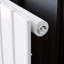 Sydnee Horizontal Designer Radiator-63287115-63287118