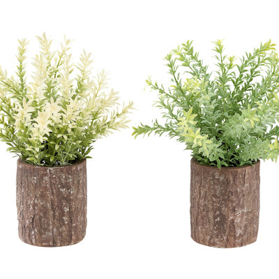 Ensemble de 2 plantes de mûrier artificiel, fausse verdure dans des pots en ciment brun à texture écorce, décor moderne pour table et tablette