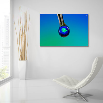 " Glofish In A Drop 6 " by Gordon Semmens