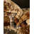 Adetomiwa Geometric Indoor Rug-1951892065