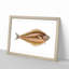 Atlantic Halibut Fish by Edward Donovan - Framed Print-55456816-55456818
