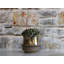 Petits pots de fleurs en céramique émaillée Santa Barbara (lot de 8) - Intérieur/Extérieur-533529523