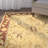 Ladd Wool Pile Oriental Rug-22463063