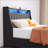 Queen Size Bed Frame With LED