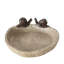 Bain d'oiseaux escargot