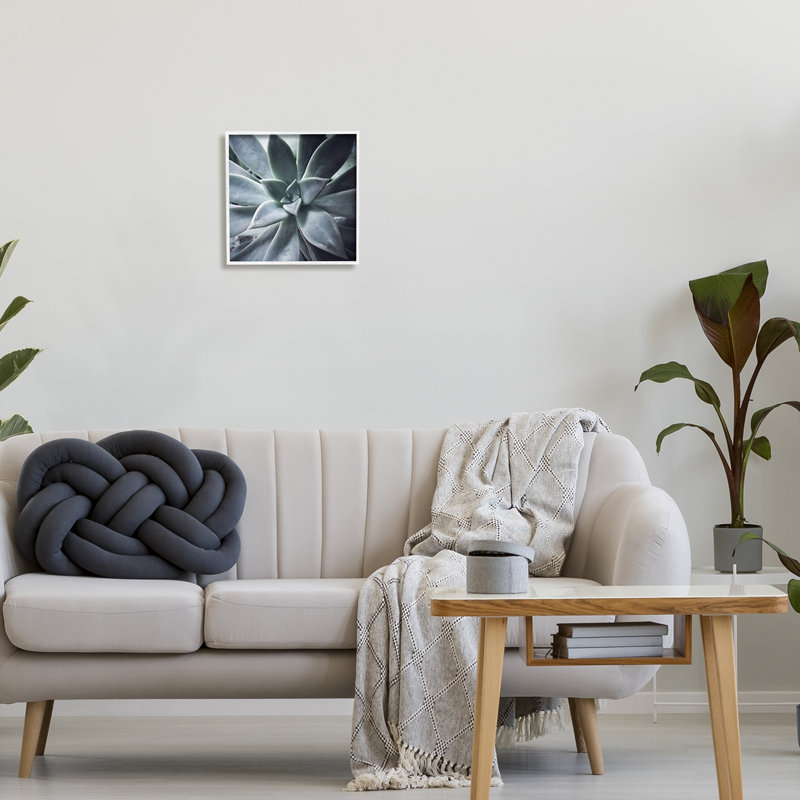 White Framed Succulent Plant Photography Giclee Canvas Print