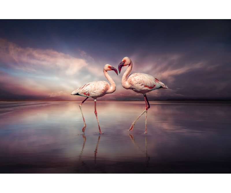 Wrapped Canvas Print, 50.8 cm H x 76.2 cm W