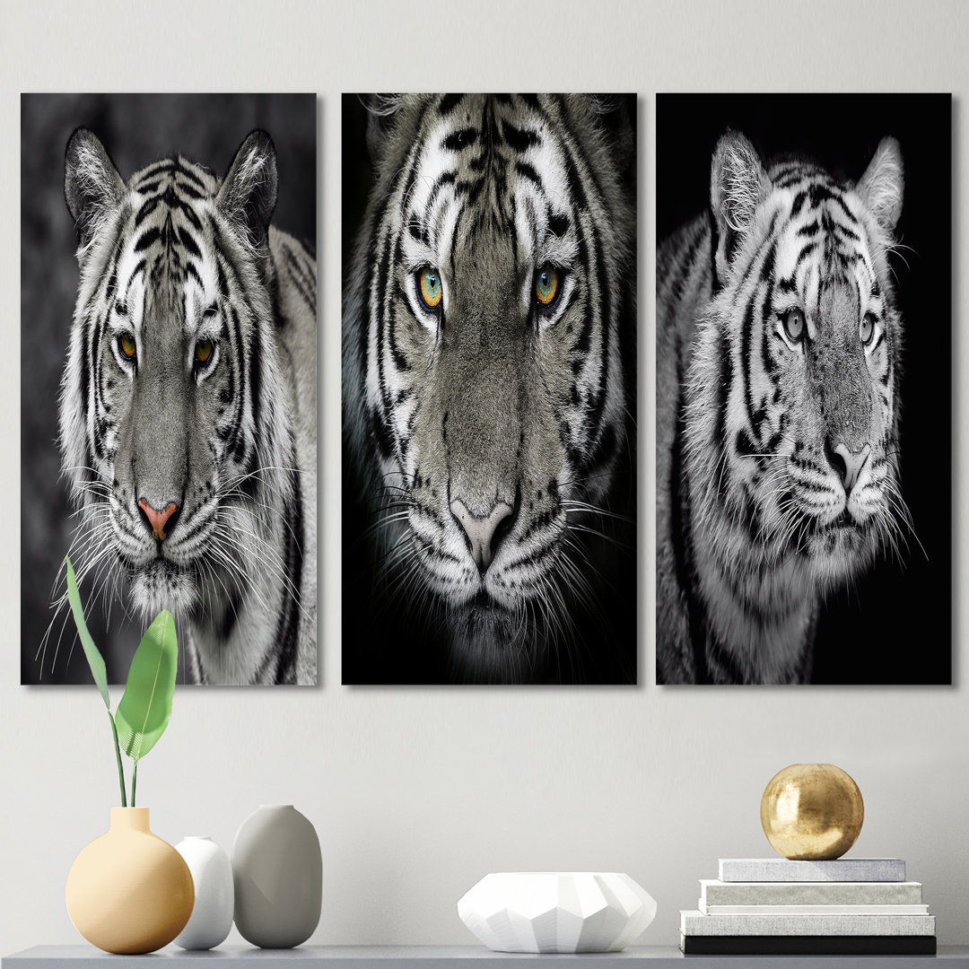 " Monochrome Portrait Of A White Tiger III " 3 - Pieces Design Art 