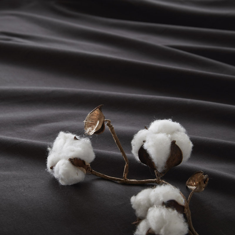 4-Piece King 100% Cotton Sheet Set