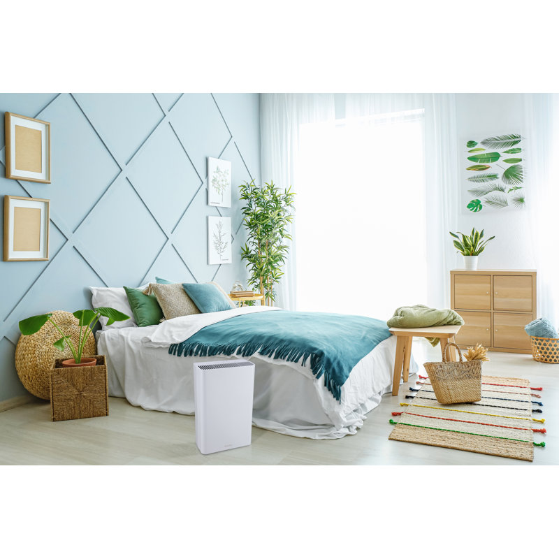 Purificateur d'air avec filtre HEPA