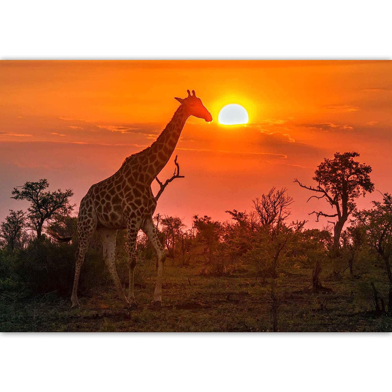 Girafe et coucher de soleil à peindre Sunset42, L 144 po x l 100 po