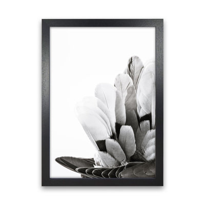 Feathers by Victoria Frost - Print