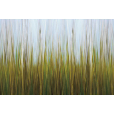 Toile d'herbe de mer