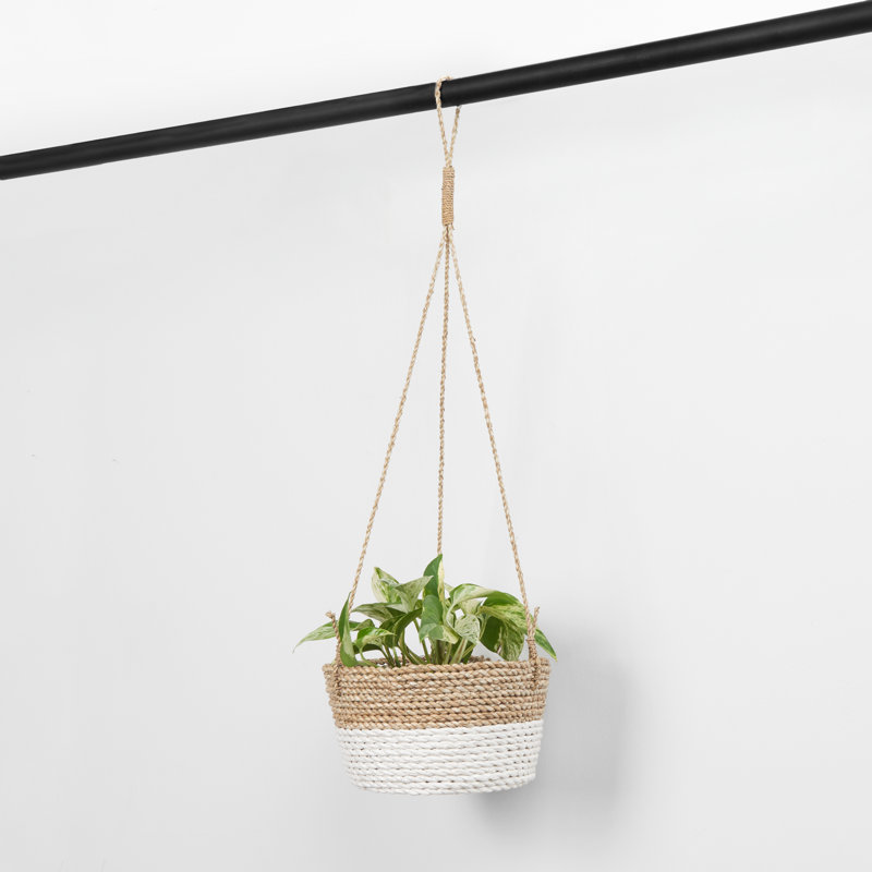 Panier en ruppie maritime, Blanc / Brun