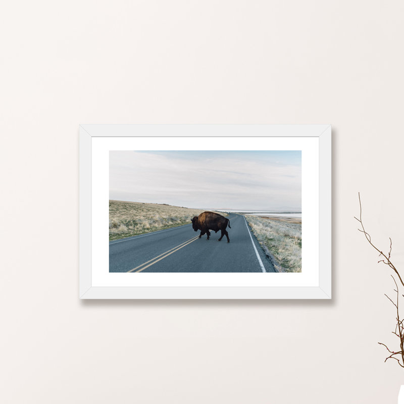« buffalo bison » par chelsea victoria-impression, H 24 po x l 32 po x P 1 po, Papier avec cadre blanc