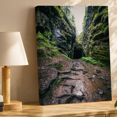Canvas A Rugged Cave Entrance Carved Into A Steep Moss Covered Wall Art Hillside Surrounded By Lush Greenery And Rocky Textures The Canvas Wall Art