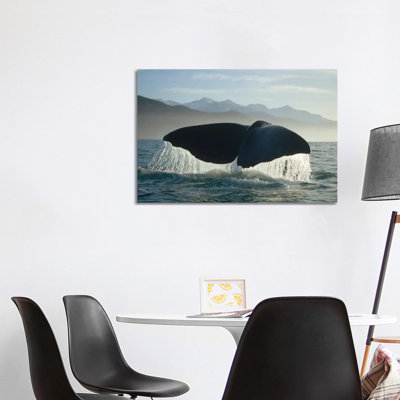 Sperm Whale Tail, New Zealand 1 Piece Wrapped Canvas Wall Art