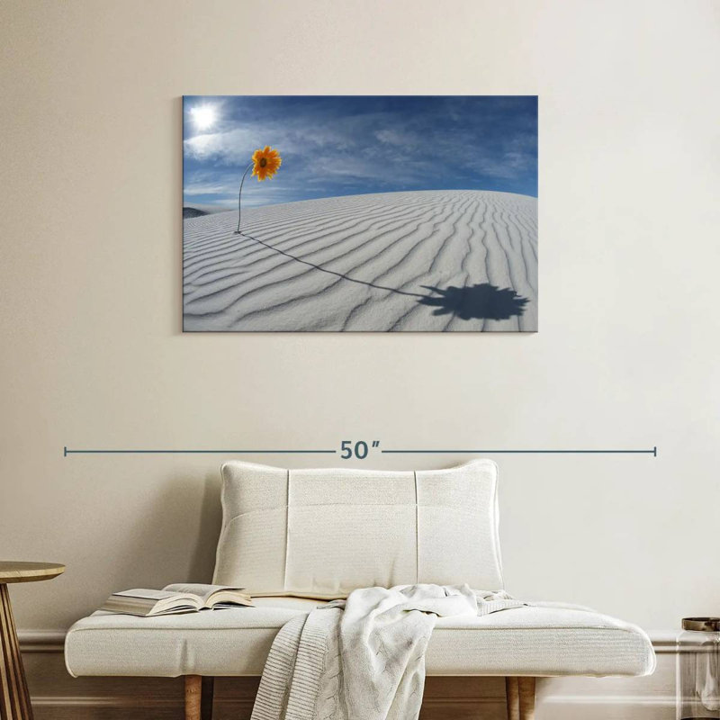 Tournesol blanc du désert d'Alvord, H 24 po x l 36 po