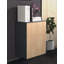 Roetta Rectangle Accent Cabinet-958580641