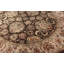 One-of-a-Kind 8' Area Rug