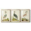 Heron Portrait I - Impression personnalisée de qualité supérieure avec passe-partout - 3 pièces-490649565-490649564