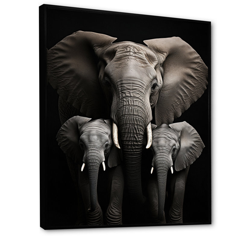 Éléphant noir et blanc Laciana, H 40 po x l 30 po x P 1,5 po, Cadre flottant noir