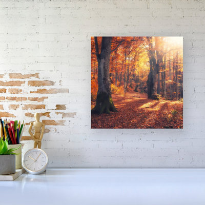 Autumn Forest - Wrapped Canvas Print