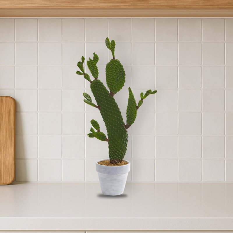 Cactus Artificial Plant