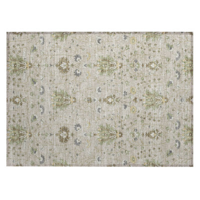 Machine Washable Indoor/Outdoor Chantille ACN2842 Global Rug