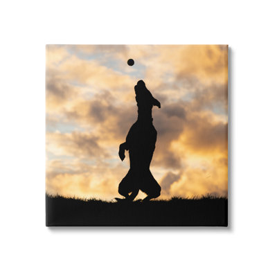 " Dog Playing Sunset Silhouette " by Christine Johnson