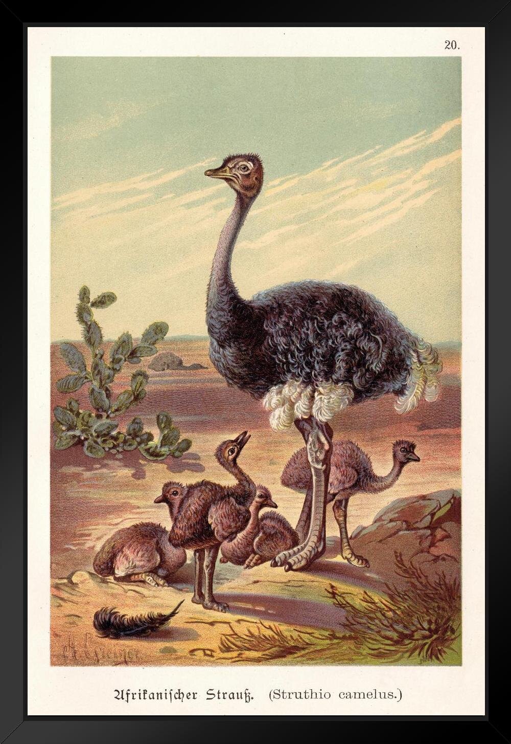 Ostrich Painting Original Bird Gold Art Frame Artwork Black Bird Wall Art
