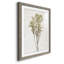 Farmhouse Pressed Flower II - peinture encadrée-1572627888-1572627902