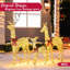 3 paquets de décoration de Noël famille de cerfs, 360 lumières de cour de renne en rotin avec lumière DEL, décorations de Noël pour l'extérieur pour la cour de jardin, décor de Noël, renne doré